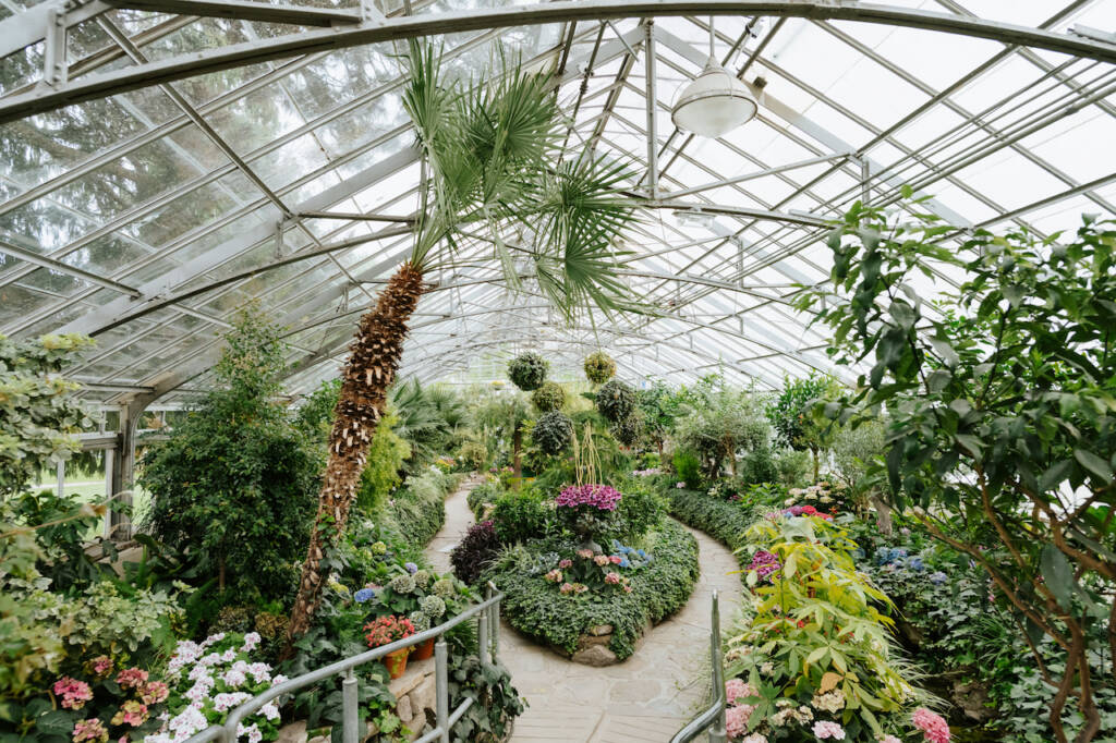Green House with Plants inside and a glass roof