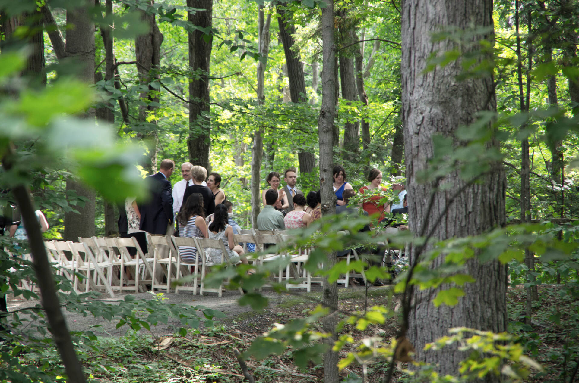 Wedding Ceremony taking place in the forest