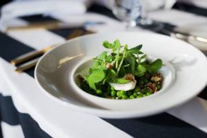 Catered Plated Salad with green pea sprouts and burrata cheese