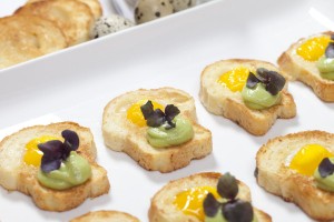 gourmet catering toronto