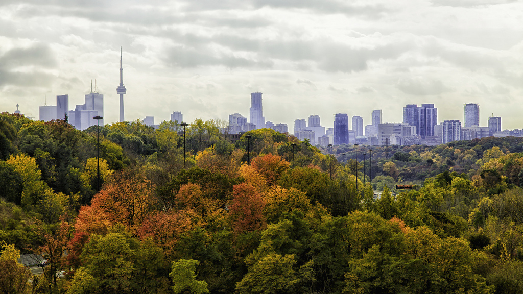 Five of the Best Fall Wedding Venues in Toronto