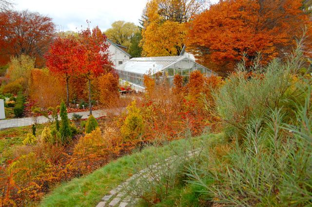 Outdoor Weddings, Toronto wedding venue, Toronto Botanical Gardens Events